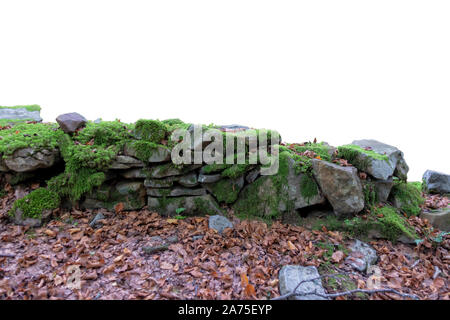 Un antico muro di pietra con il muschio e foglie secche isolato su bianco. Foto Stock