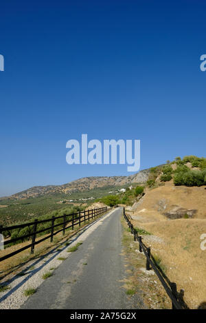 La Via Verde, una in disuso olio di oliva linea ferroviaria, ora una passeggiate a piedi e in bicicletta il percorso vicino a Zuheros in Sierra Subbetica, Andalusia. Foto Stock