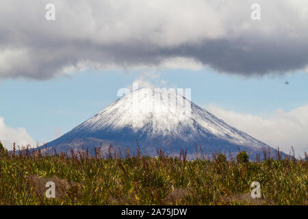 Il monte NGAURUHOE, NUOVA ZELANDA Foto Stock