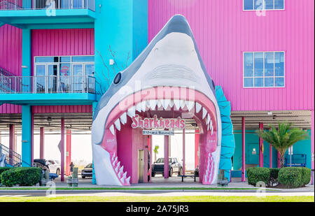 Una testa di squalo ingresso e luminoso edificio rosa saluta i clienti a Sharkheads souvenir shop, Ottobre 22, 2019, in Biloxi Mississippi. Foto Stock