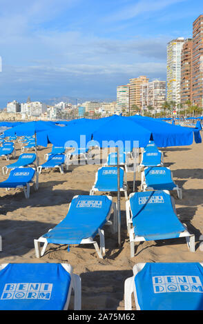 Playa Levante spiaggia con lettini e ombrelloni a noleggio, la mattina presto prima che i turisti arrivano, Benidorm, Provincia di Alicante, Spagna Foto Stock