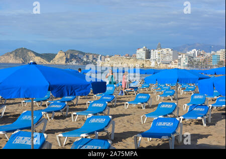 I turisti che arrivano sulla Playa Levante Beach per il noleggio di lettini ed ombrelloni, la mattina presto, Benidorm, Provincia di Alicante, Spagna Foto Stock