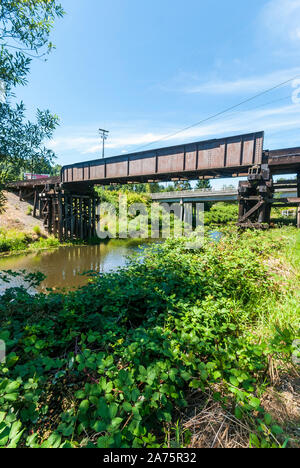 Vista del ponte ferroviario su Sammamish fiume vicino a Gateway Wilmot Park a Woodinville, Washington. Foto Stock