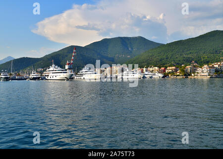 Molti yacht in un Porto Montenegro a Tivat, Montenegro Foto Stock