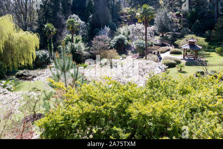 Giardino in stile giapponese è una parte di immensi giardini al Powerscourt Estate, County Wicklow, Irlanda. Foto Stock