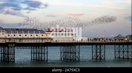 Brighton Regno Unito 30 ottobre 2019 - Un murmuration di storni avviene su Brighton Palace Pier al tramonto questa sera . Per gli storni vai a roost ogni sera e il momento migliore per catturare l'autunno spettacolo è tra ora e la fine del mese di novembre . Credito: Simon Dack / Alamy Live News Foto Stock