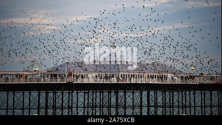 Brighton Regno Unito 30 ottobre 2019 - Un murmuration di storni avviene su Brighton Palace Pier al tramonto questa sera . Per gli storni vai a roost ogni sera e il momento migliore per catturare l'autunno spettacolo è tra ora e la fine del mese di novembre . Credito: Simon Dack / Alamy Live News Foto Stock