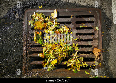 Un parzialmente ostruito storm drain, riempiti con i resti di colorati caduta delle foglie, nel quartiere di Chelsea di New York venerdì 18 ottobre, 2019. (© Richard b. Levine) Foto Stock