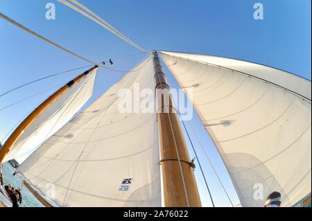 Vele bianche sollevato, il riempimento con il vento, su goletta America 2.0 solcare le acque turchesi durante il tramonto salpare Key West, Florida Keys, Florida, Stati Uniti d'America Foto Stock