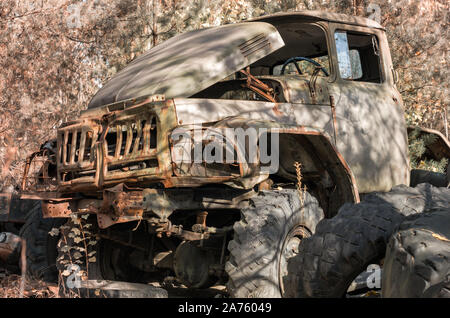 Cabina e ruote abbandonato esercito arrugginito carrello nella foresta di Chernobyl in Ucraina Foto Stock