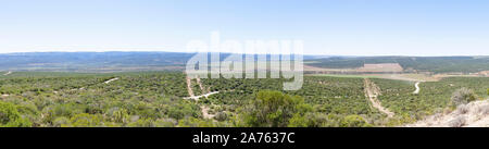 Addo Elephant National Park panoramica panorama dal Zuurkop Lookout, Capo orientale, Sud Africa Foto Stock