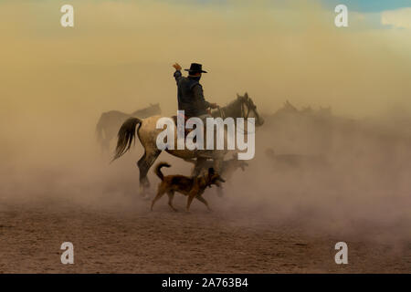 Western cowboy a cavallo con il cane nella nuvola di polvere al tramonto Foto Stock