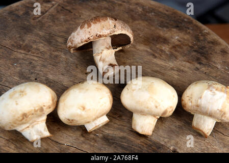 Fresco di funghi champignon sul tavolo di legno, primo piano. Spazio per il testo Foto Stock