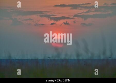 L'alba nella savana Foto Stock