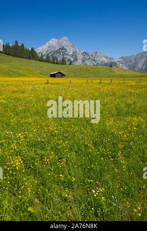 Walder-Alm, dietro le montagne Karwendel, Gnadenwald, Tirolo, Austria Foto Stock