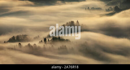 Nebbia in Pieniny montagne nella luce di sunrise, Polonia Foto Stock