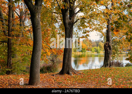 Vibrante di alberi di autunno e di riflessione nel lago a Szombathely a csonakazo al lago Foto Stock