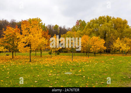 Vista panoramica del parco della città con multicolore caduta delle foglie in centro di Minsk, Bielorussia Foto Stock