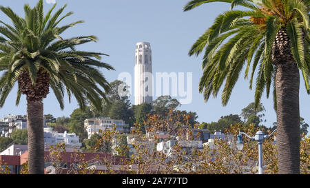 SAN FRANCISCO, CALIFORNIA, STATI UNITI D'AMERICA - OTTOBRE, 26, 2017: Coit Tower incorniciato da palme Foto Stock