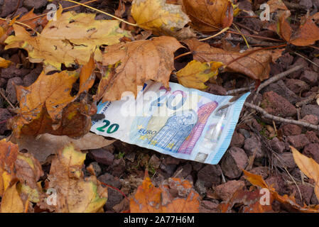 Un perso 20 di banconote in euro nascosti tra le foglie di autunno, in attesa di essere scoperto da qualcuno. Finanziario / concetto di investimento. Foto Stock