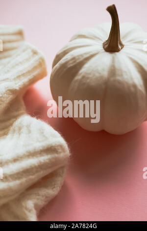 Creative autunno maglione bianco e zucca sulla millenaria sfondo rosa spazio copia stile minimale con luce naturale e le ombre. Caduta stagione modello Foto Stock