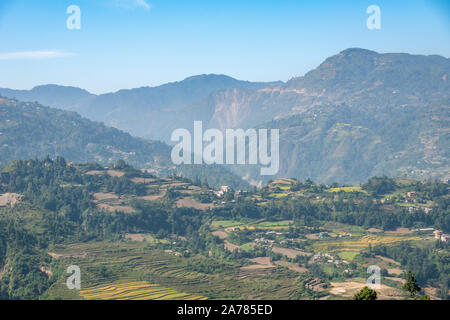 Il bellissimo terreno coltivato sui pendii delle colline pedemontane dell Himalaya in Nepal. Foto Stock