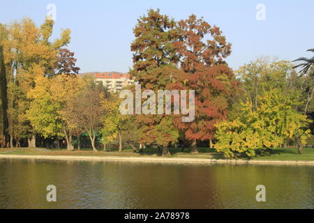 Accordi di autunno sul lago Foto Stock