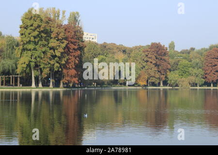 Accordi di autunno sul lago Foto Stock