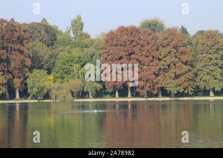 Accordi di autunno sul lago Foto Stock