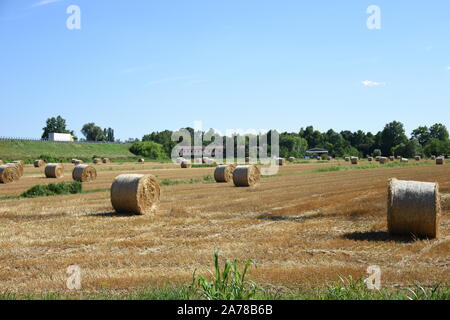 Camminando tra fiume Sile a Treviso, Veneto, Italia Foto Stock