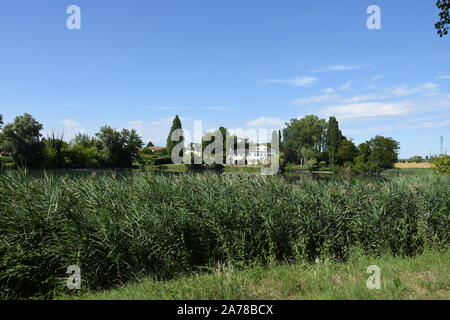 Camminando tra fiume Sile a Treviso, Veneto, Italia Foto Stock