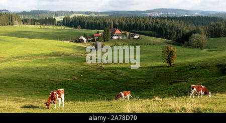 Unterfallengrundhof, casa nella Foresta nera, SWR serie televisiva Die bacchette, vicino a Gütenbach, Foresta Nera, Baden-Württemberg, Germania Foto Stock