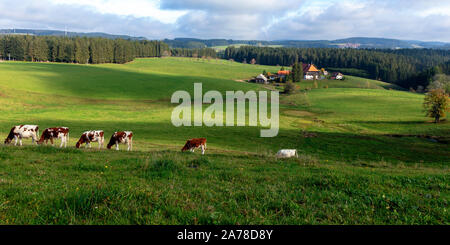 Unterfallengrundhof, casa nella Foresta nera, SWR serie televisiva Die bacchette, vicino a Gütenbach, Foresta Nera, Baden-Württemberg, Germania Foto Stock