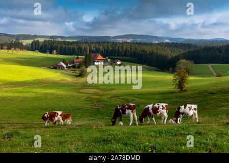 Unterfallengrundhof, casa nella Foresta nera, SWR serie televisiva Die bacchette, vicino a Gütenbach, Foresta Nera, Baden-Württemberg, Germania Foto Stock