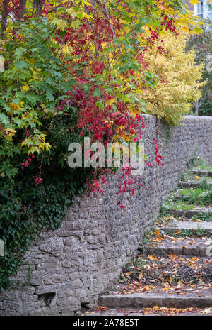 La scalinata in pietra che conduce al fiume Brue vicino Packhorse Bridge in BRUTON, SOMERSET REGNO UNITO, fotografato in autunno con foglie degli alberi a cambiare colore. Foto Stock