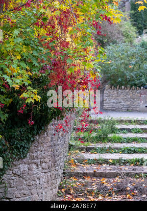 La scalinata in pietra che conduce al fiume Brue vicino Packhorse Bridge in BRUTON, SOMERSET REGNO UNITO, fotografato in autunno con foglie degli alberi a cambiare colore. Foto Stock