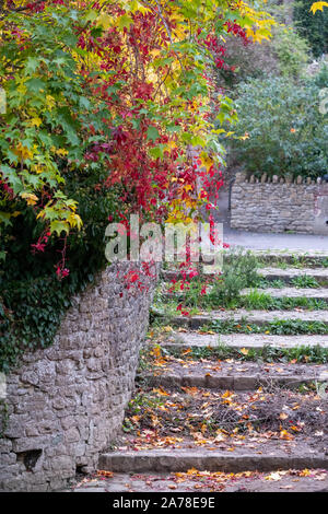 La scalinata in pietra che conduce al fiume Brue vicino Packhorse Bridge in BRUTON, SOMERSET REGNO UNITO, fotografato in autunno con foglie degli alberi a cambiare colore. Foto Stock