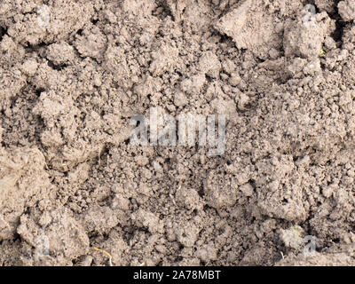 Terreni arati su un campo di fattoria Foto Stock