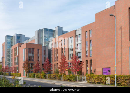 Moderno edificio costruito alloggi per studenti dell'Università di Birmingham in Selly Oak, Birmingham, Regno Unito Foto Stock