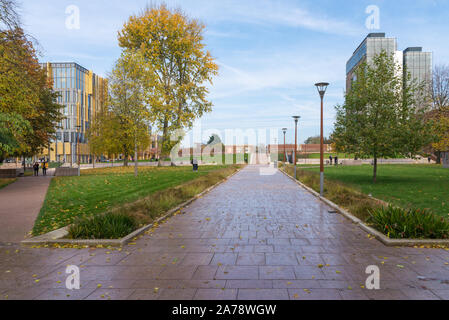 Spazi verdi aperti nel mezzo dell'Università di Birmingham campus, Edgbaston, Birmingham, Regno Unito Foto Stock