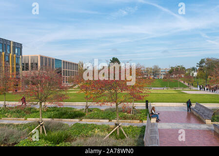 Spazi verdi aperti nel mezzo dell'Università di Birmingham campus, Edgbaston, Birmingham, Regno Unito Foto Stock