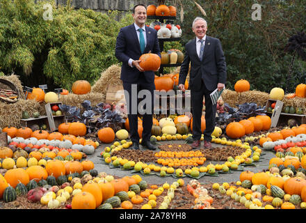 Taoiseach Leo Varadkar (sinistra) e il ministro per gli interventi a favore del clima & Ambiente Richard Bruton al display di autunno nel giardino botanico di Dublino, per il lancio della prima relazione sullo stato di avanzamento del piano d'azione sul clima 2019. Foto Stock