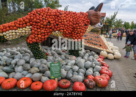 Zucca festival, Klaistow, Brandeburgo | Kürbisausstellung auf dem Spargelhof Klaistow, Erlebnisbauerhof, Potsdam-Mittelmark Foto Stock