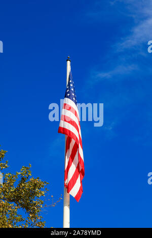 La bandiera nazionale degli Stati Uniti d'America. AKA - vecchia gloria, stelle e strisce, la stella Lamas Banner, il rosso, bianco e blu. Foto Stock