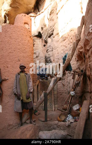 Paese Dogon : villaggio di Yougo Dogorou Foto Stock