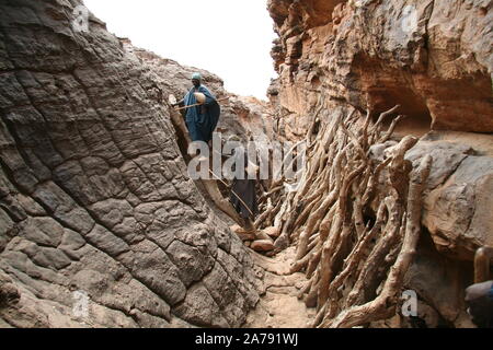 Paese Dogon : villaggio di Yougo Dogorou Foto Stock