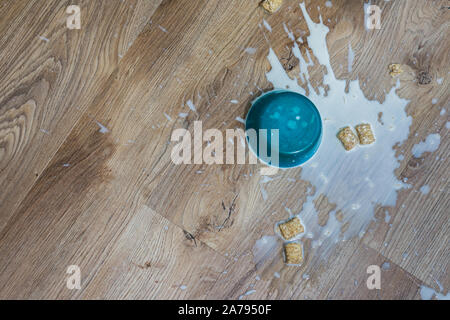 Soggy cereali e latte versato su di lusso impermeabile in vinile pavimento in legno duro Foto Stock