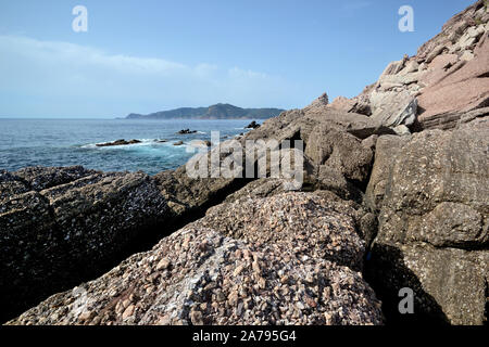 Le splendide scogliere di Torre di Porticciolo spiaggia nei pressi di Alghero in Sardegna isola su una soleggiata giornata estiva Foto Stock