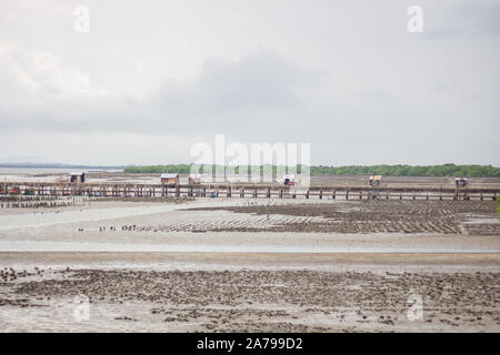 La fattoria di ostriche in mare, ridotta gamma di mare. Sollevate dai poli di bambù e colonne di cemento in Thailandia. Foto Stock