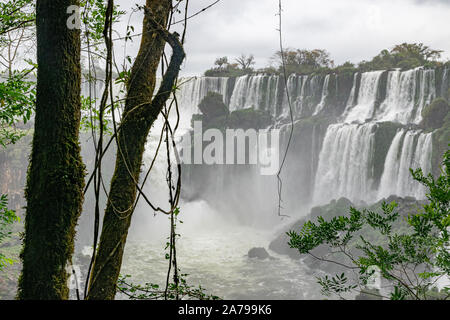 Vista delle Cascate di Iguassù, le magnifiche cascate al confine tra Brasile e Argentina Foto Stock